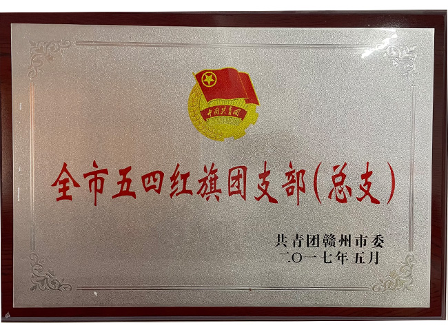 全市五四红旗团支部