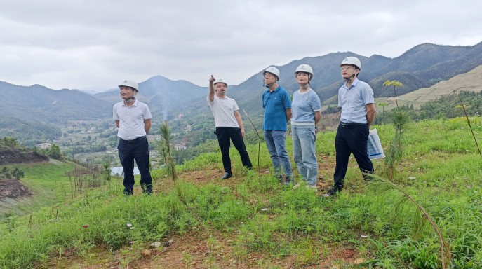 大队领导赴兴国县矿山生态修复项目检查指导